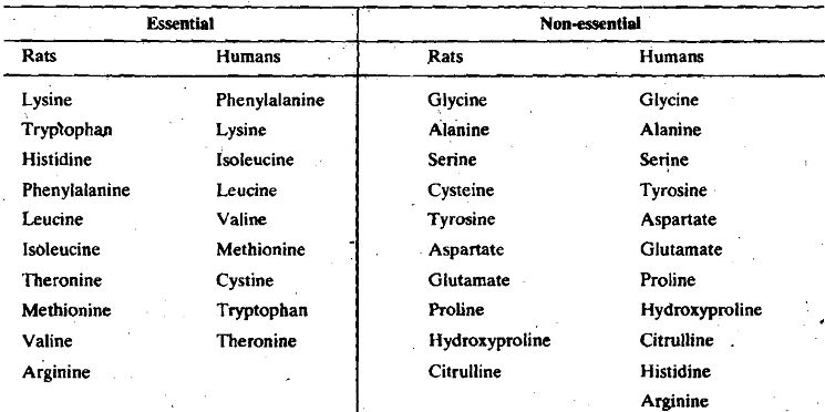 Essential And Non Essential Amino Acids Pdf